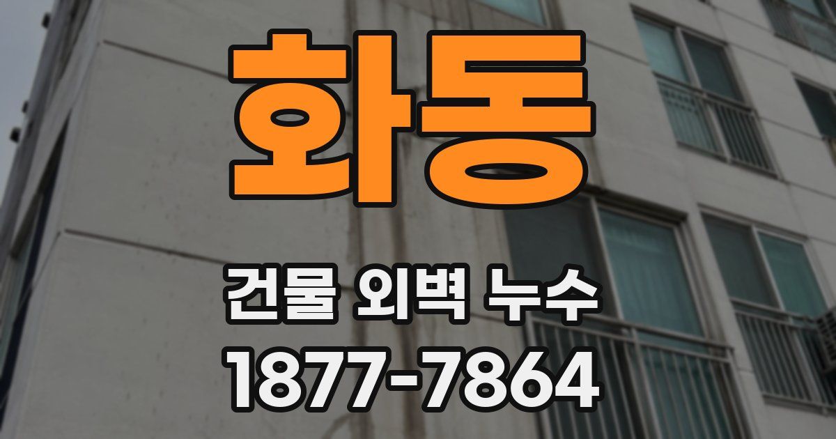 화동 건물 외벽 누수