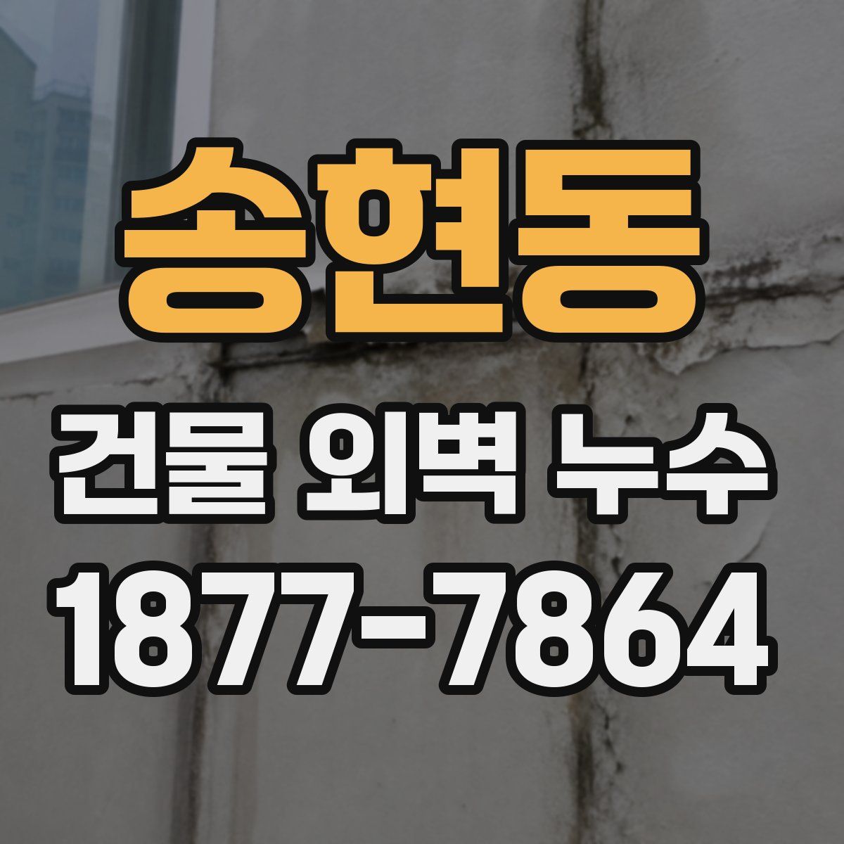 송현동 건물 외벽 누수