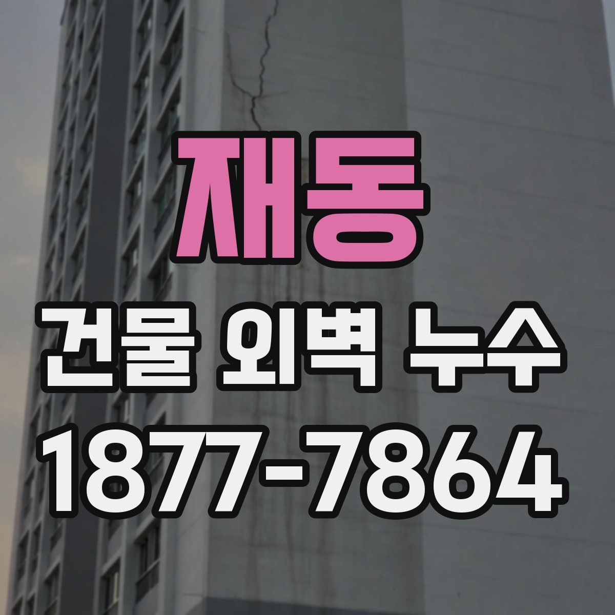 재동 건물 외벽 누수
