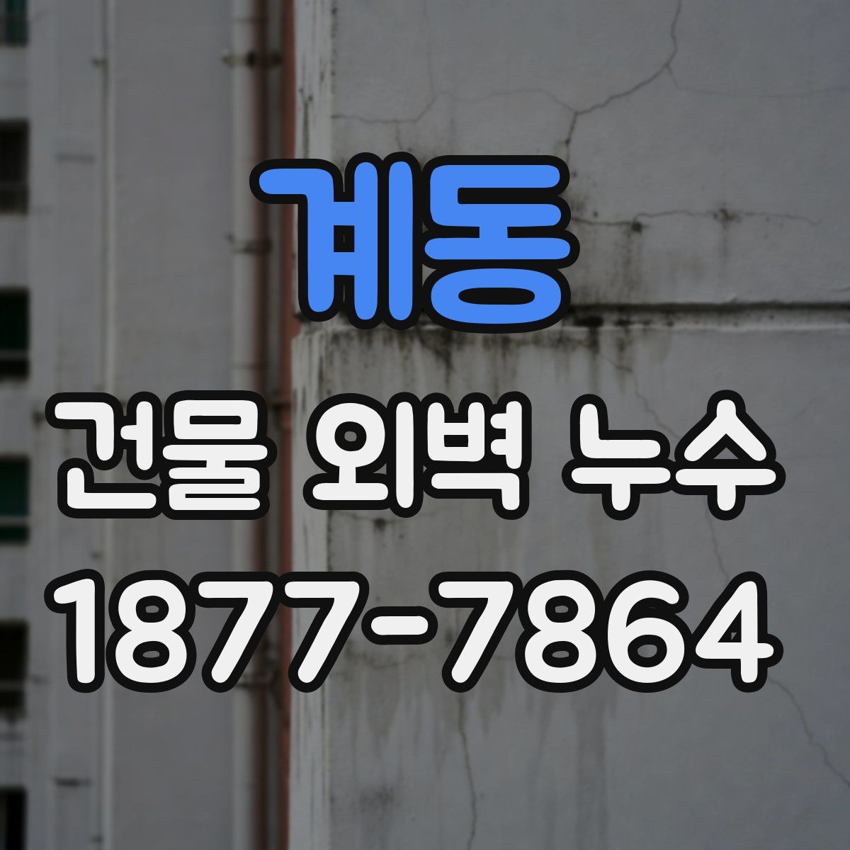 계동 건물 외벽 누수