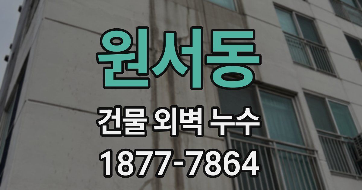 원서동 건물 외벽 누수