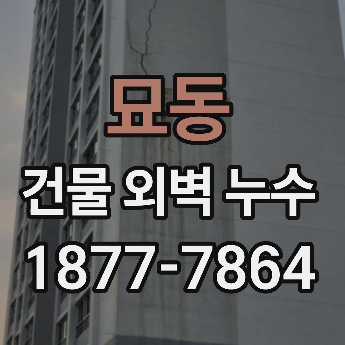 묘동 건물 외벽 누수 원인별 증상과 점검법
