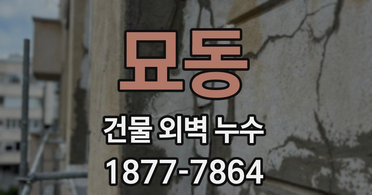 묘동 건물 외벽 누수