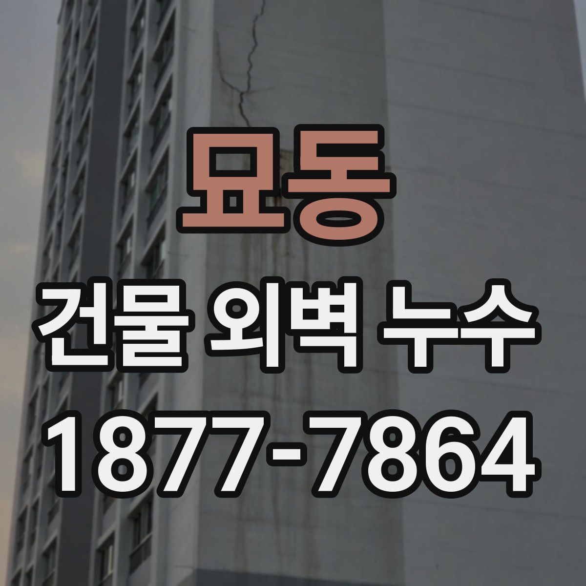묘동 건물 외벽 누수