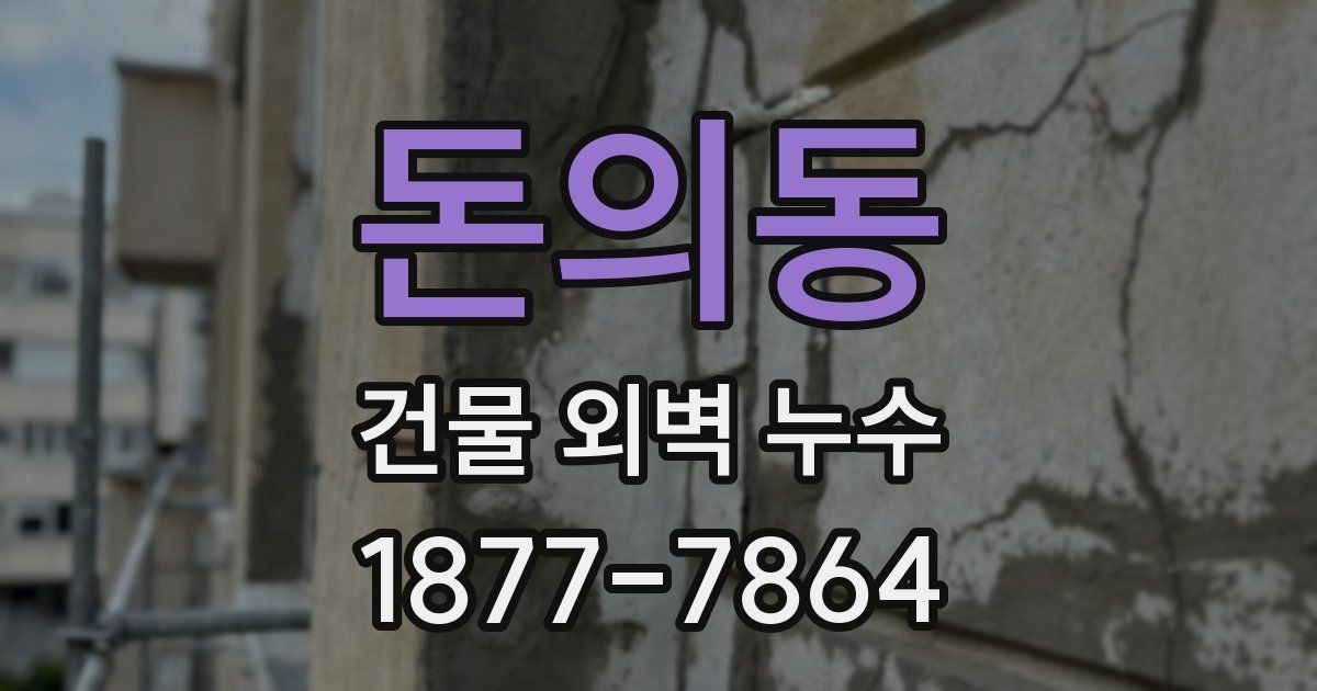 돈의동 건물 외벽 누수