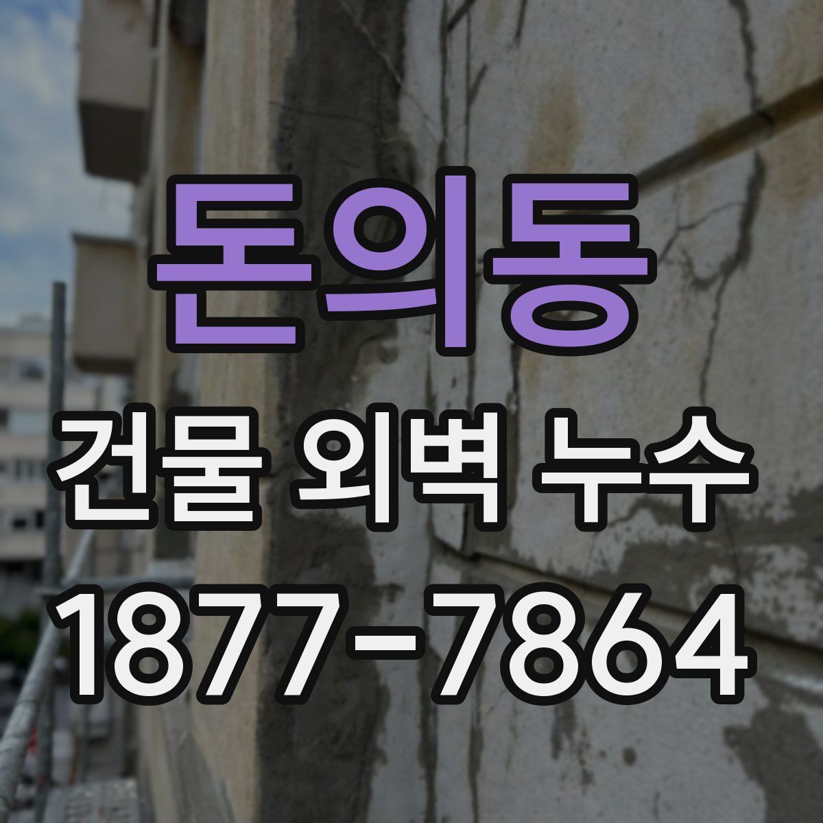돈의동 건물 외벽 누수
