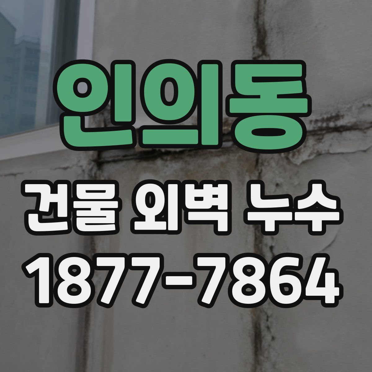 인의동 건물 외벽 누수