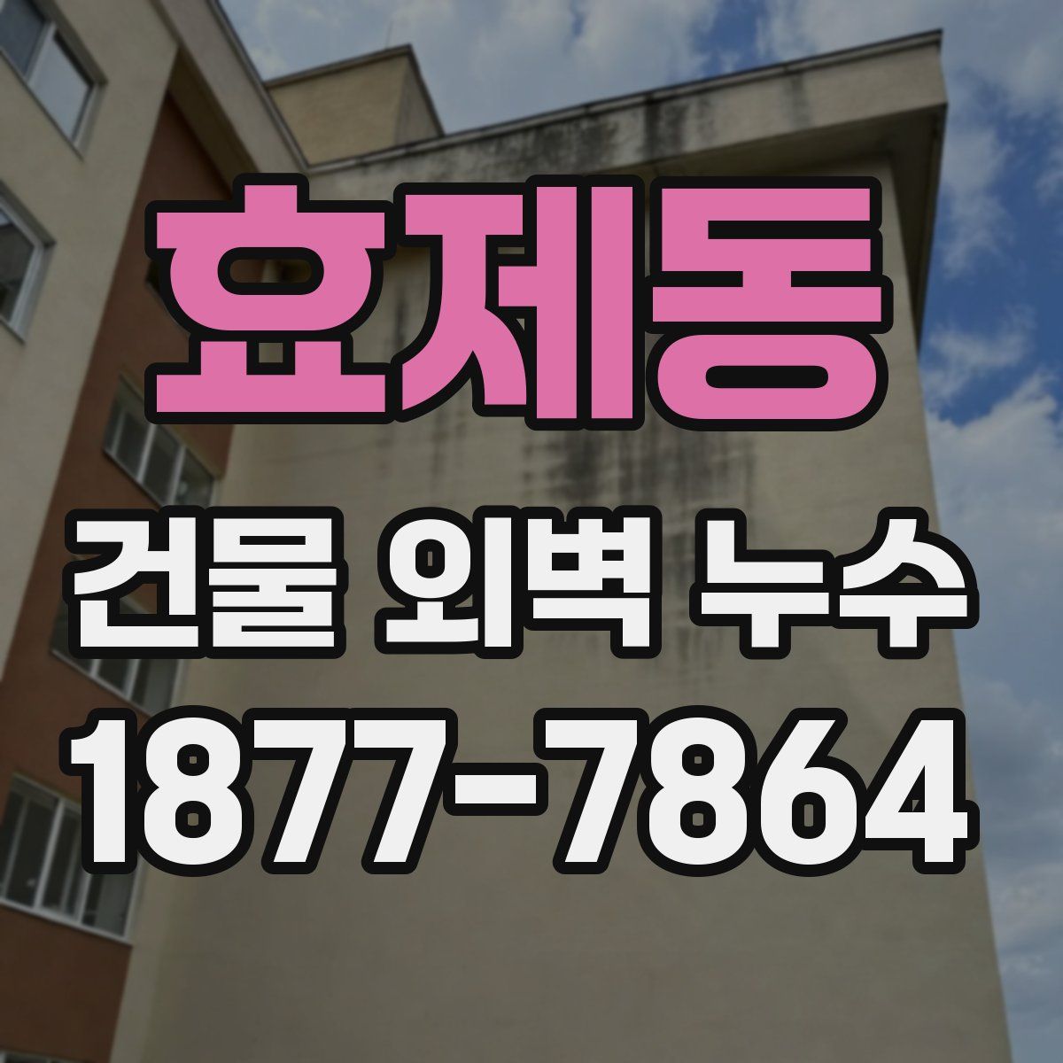 효제동 건물 외벽 누수