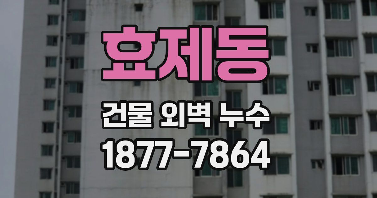 효제동 건물 외벽 누수