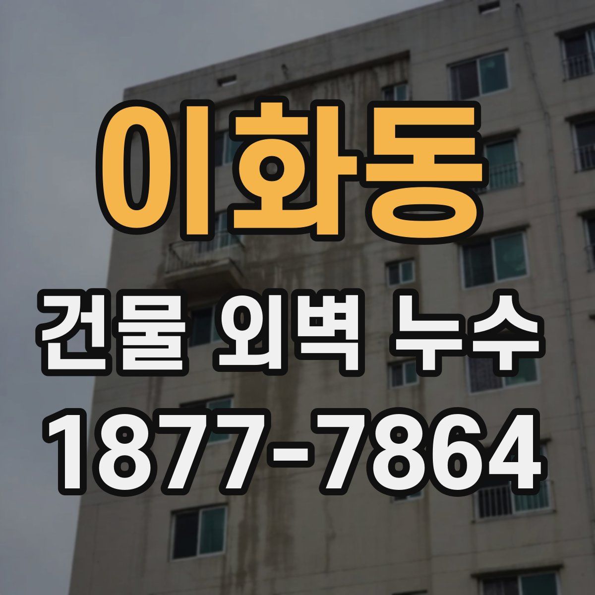 이화동 건물 외벽 누수
