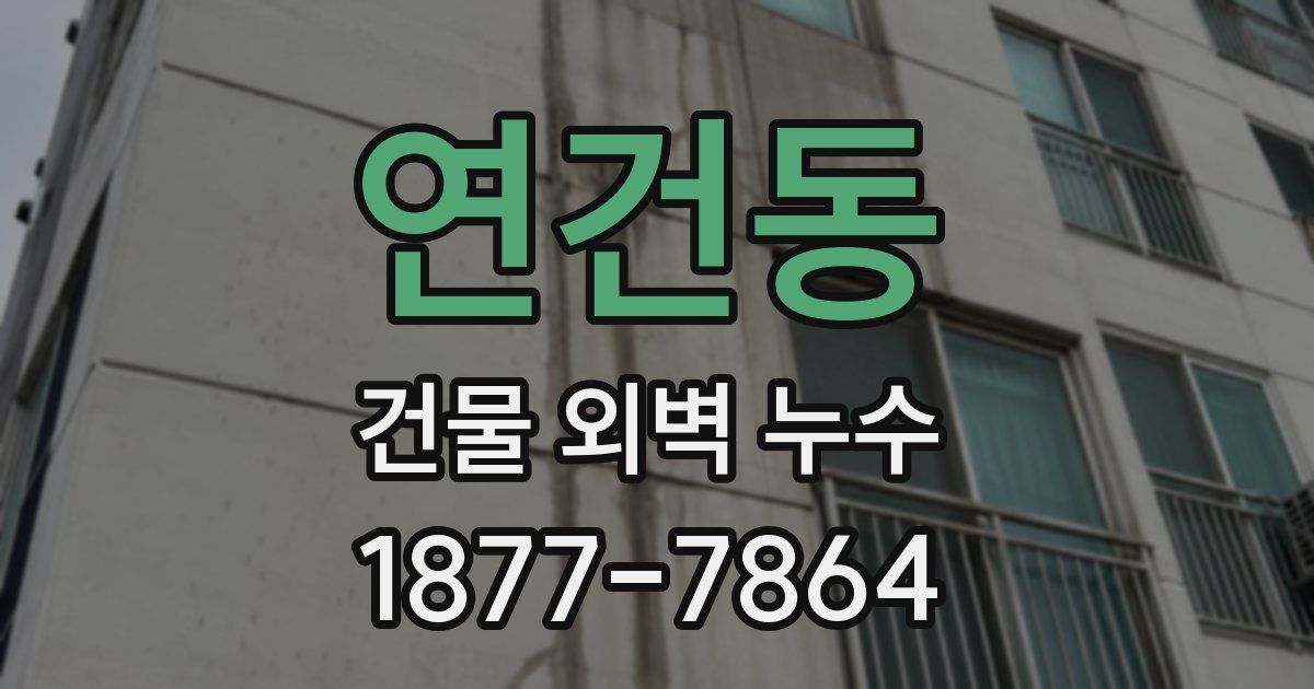 연건동 건물 외벽 누수