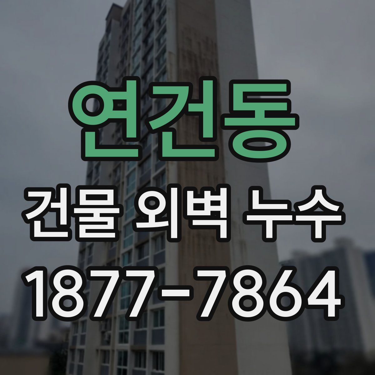 연건동 건물 외벽 누수