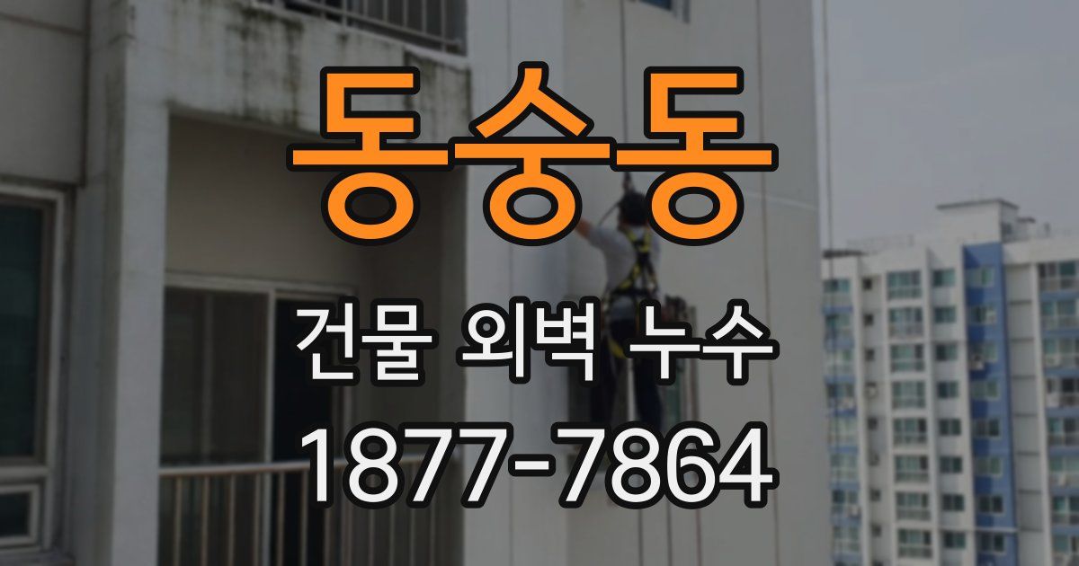 동숭동 건물 외벽 누수