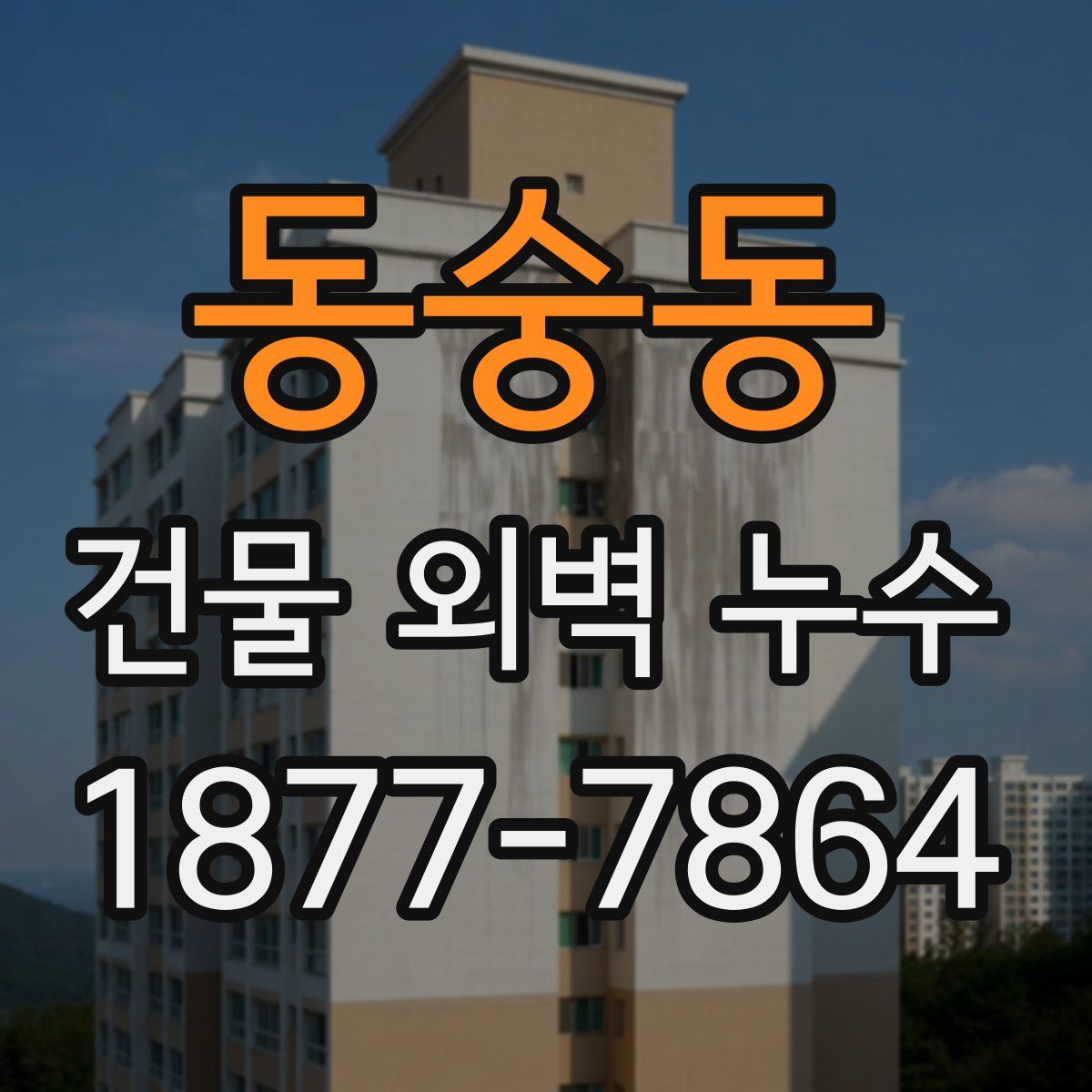 동숭동 건물 외벽 누수