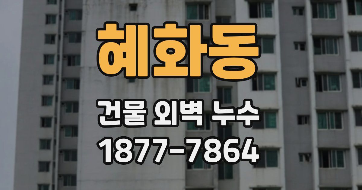 혜화동 건물 외벽 누수