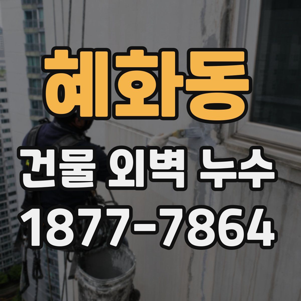 혜화동 건물 외벽 누수