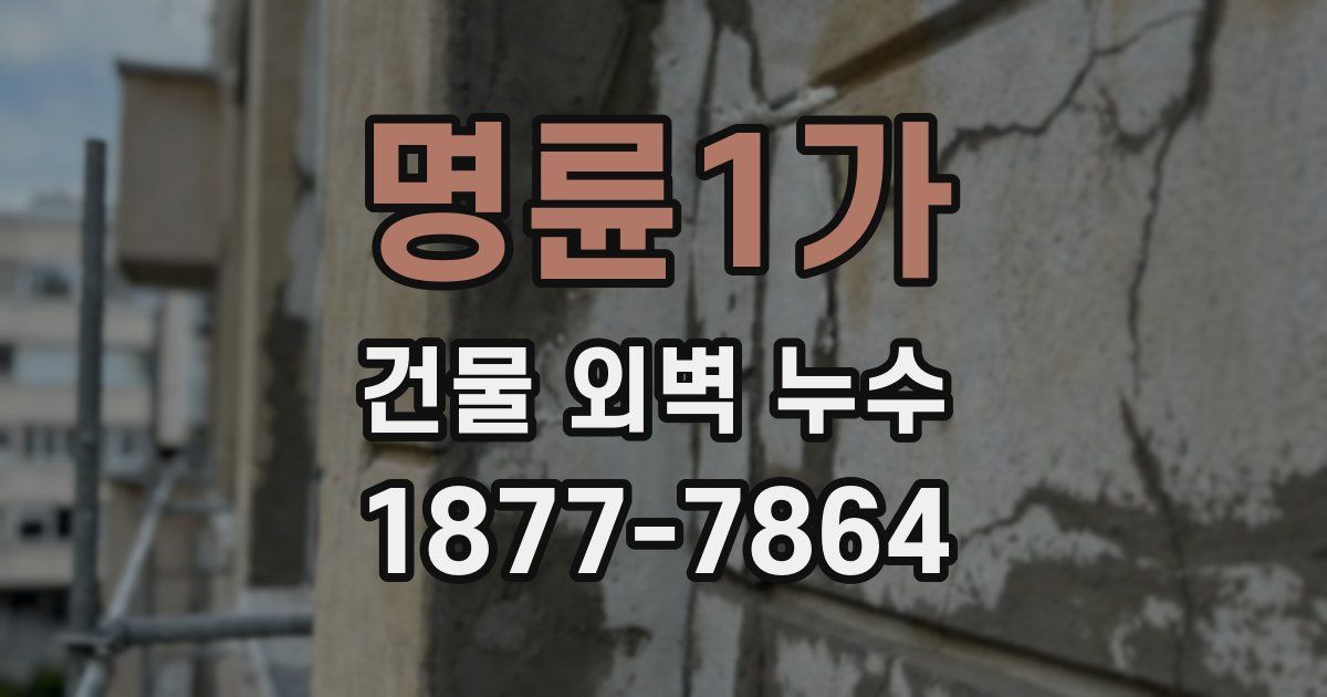 명륜1가 건물 외벽 누수