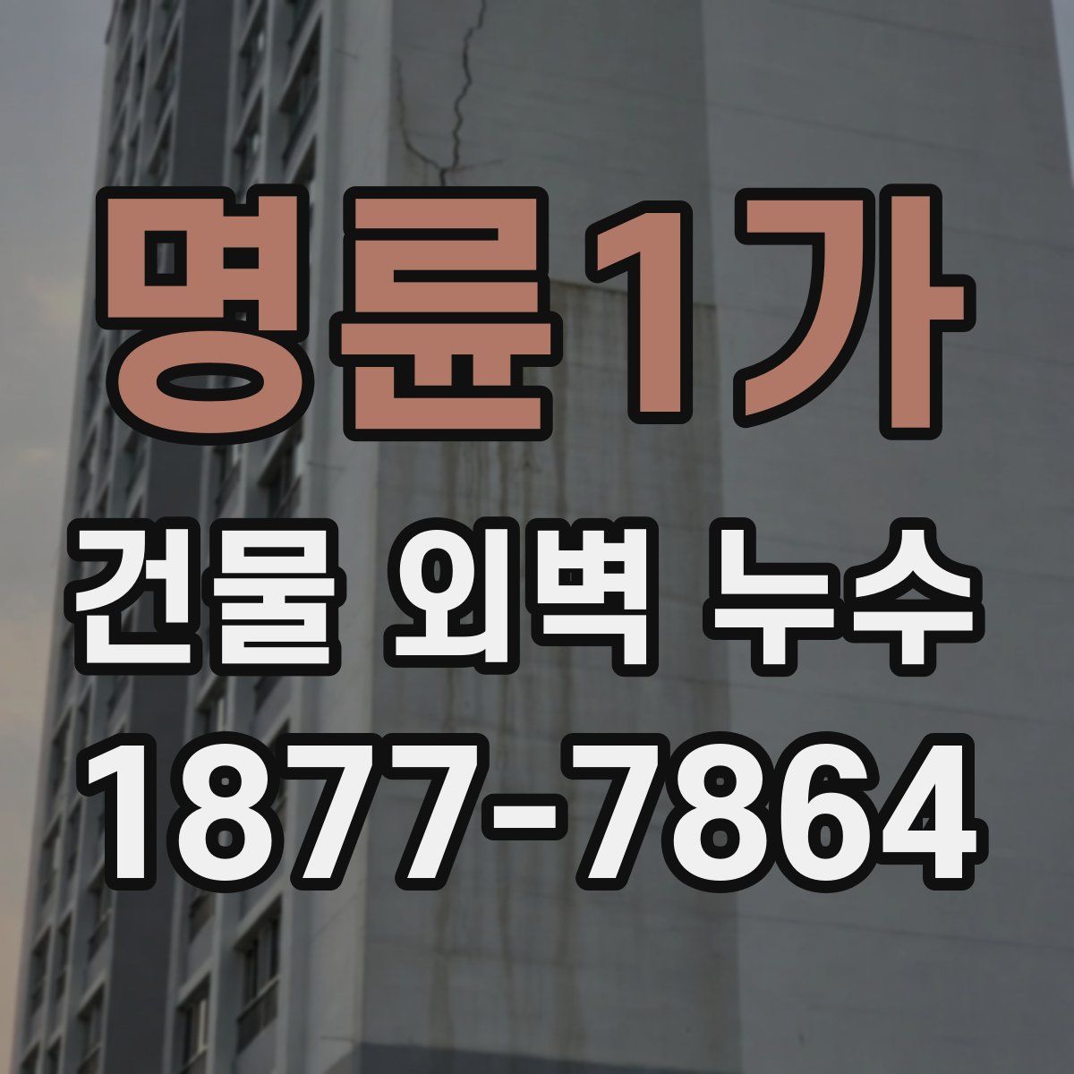 명륜1가 건물 외벽 누수