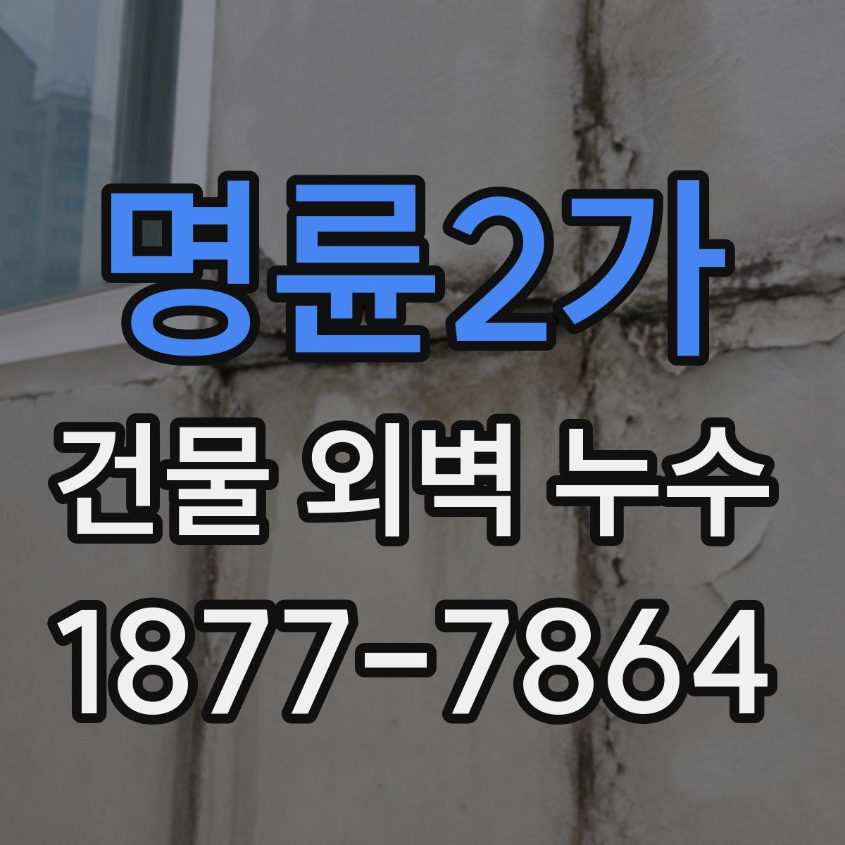 명륜2가 건물 외벽 누수