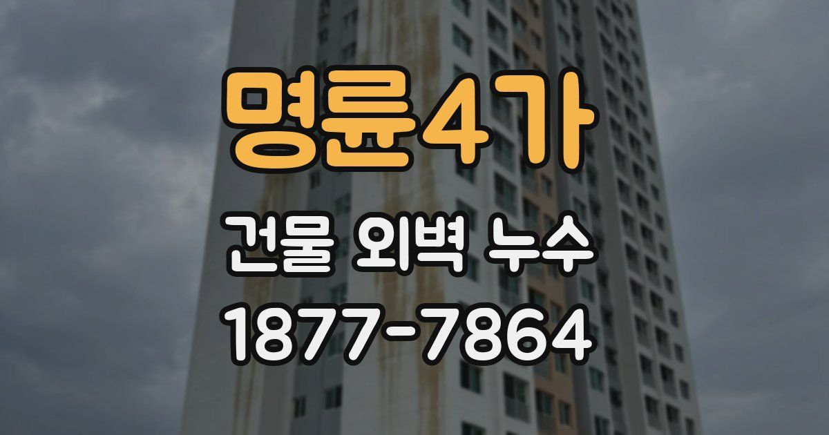 명륜4가 건물 외벽 누수