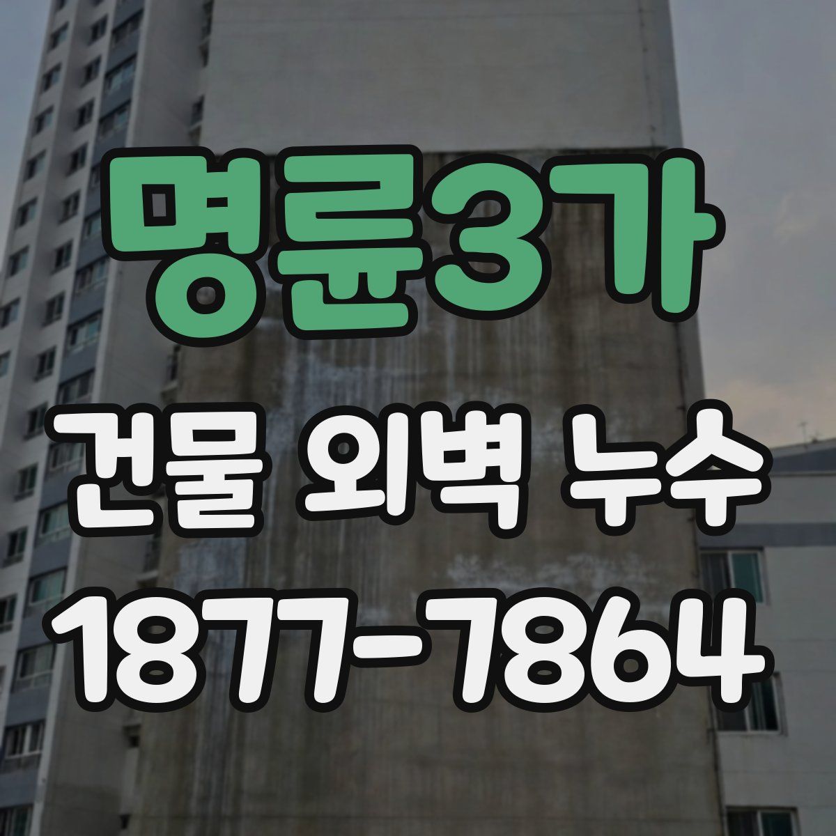 명륜3가 건물 외벽 누수