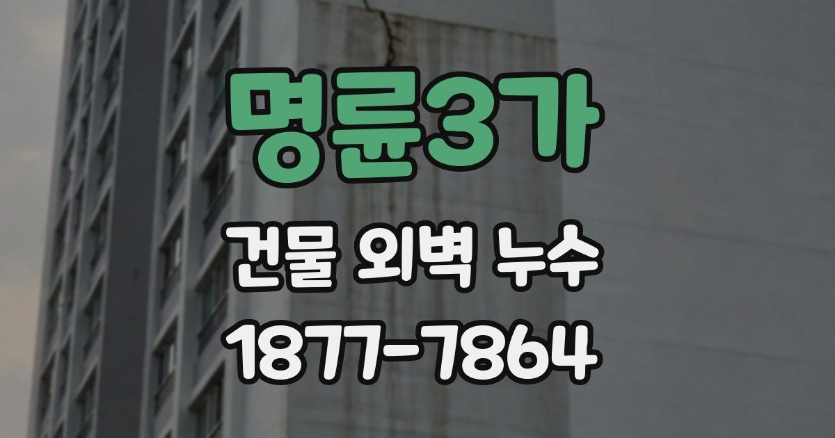 명륜3가 건물 외벽 누수