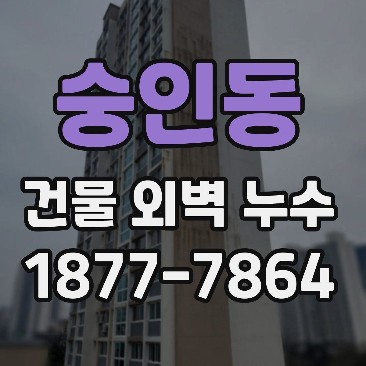 숭인동 건물 외벽 누수 상태에서 보는 외벽 점검 포인트
