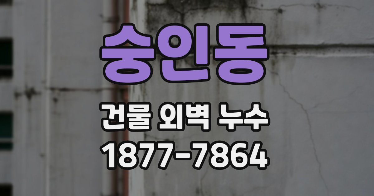 숭인동 건물 외벽 누수