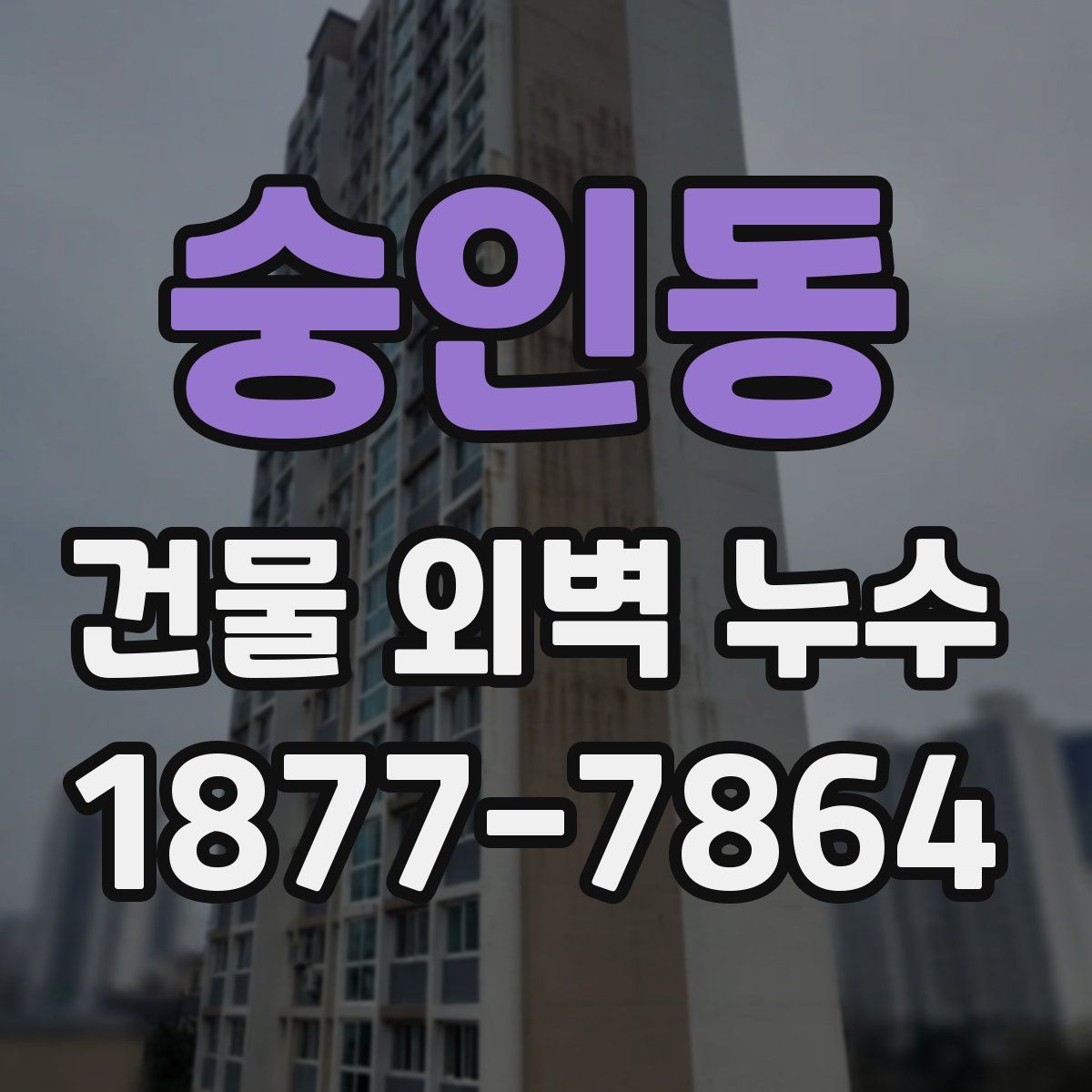숭인동 건물 외벽 누수