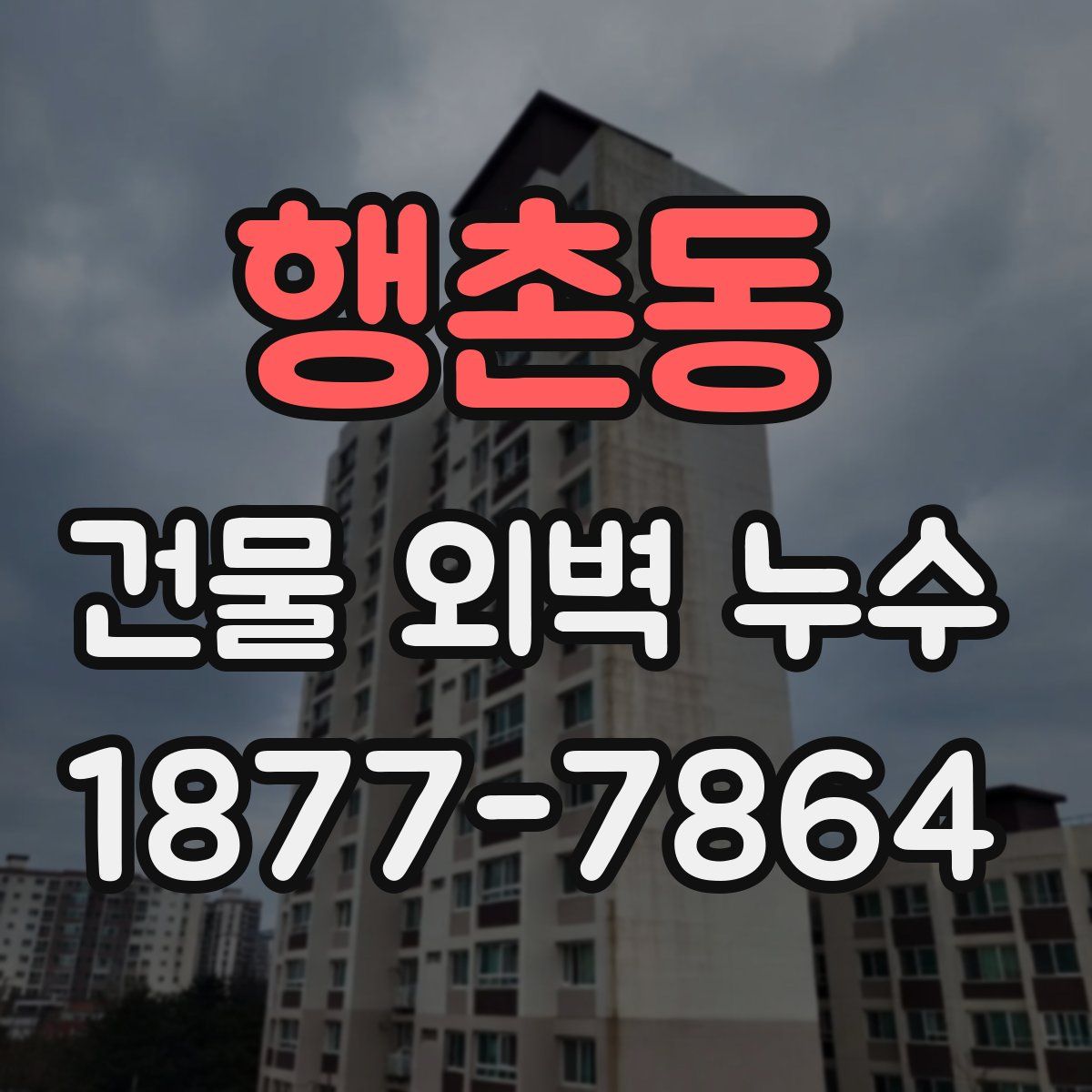 행촌동 건물 외벽 누수
