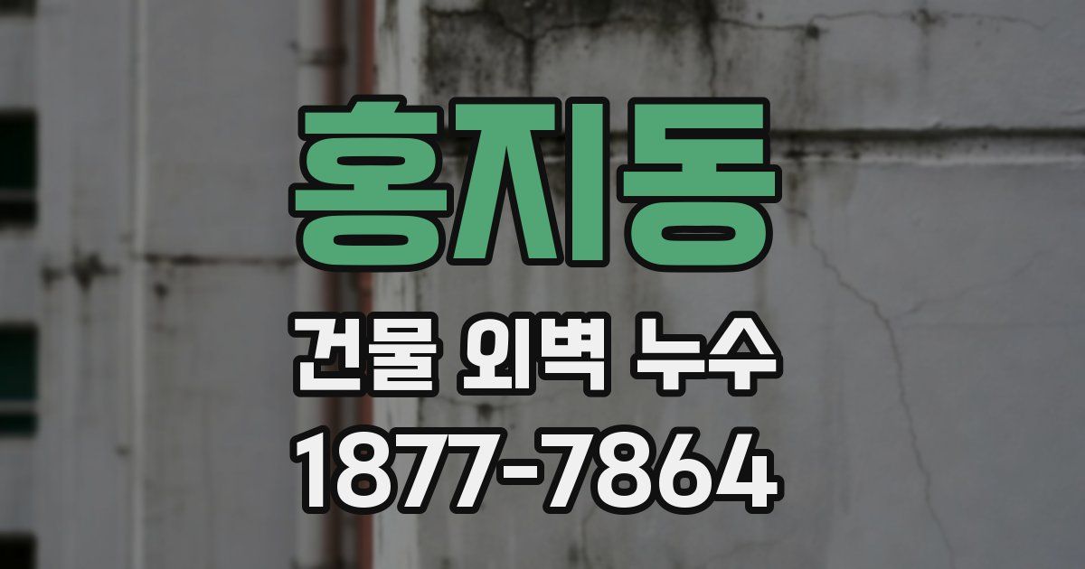 홍지동 건물 외벽 누수