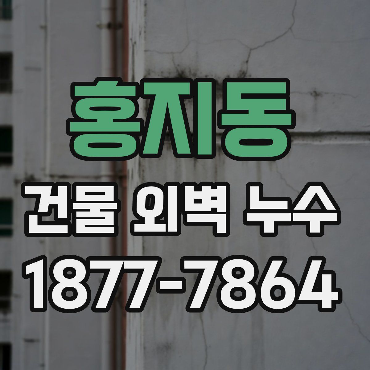 홍지동 건물 외벽 누수