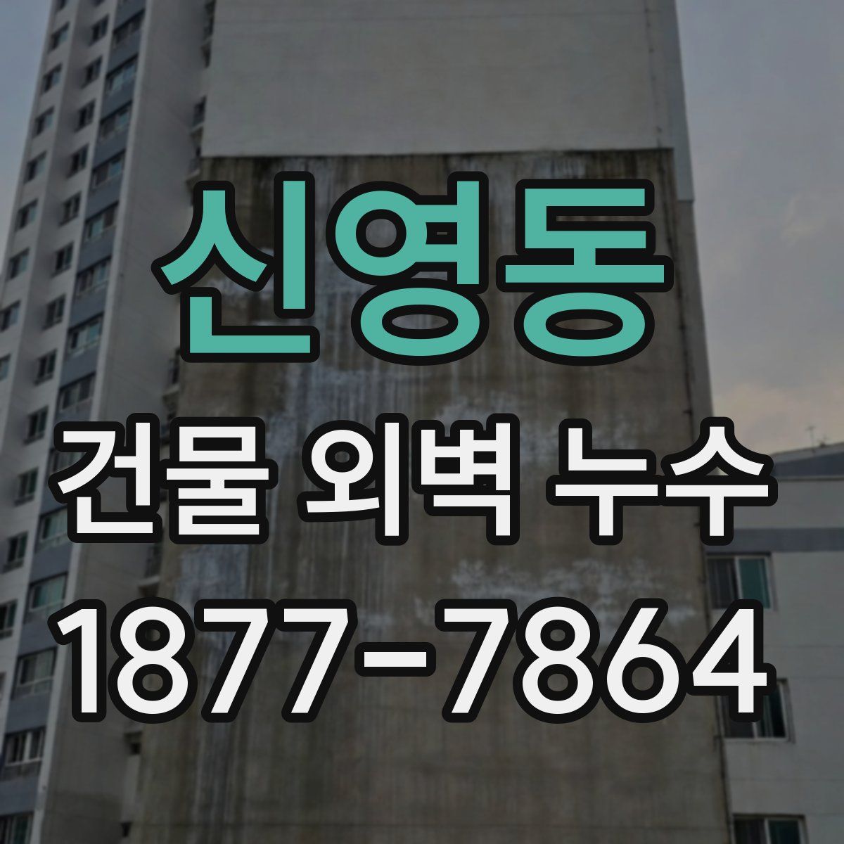 신영동 건물 외벽 누수