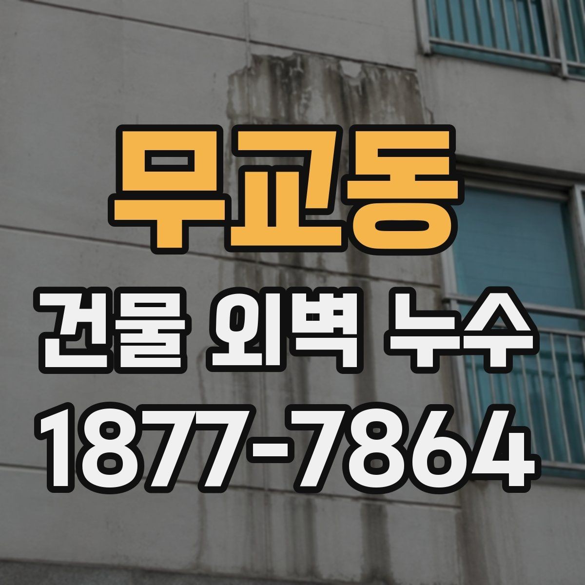 무교동 건물 외벽 누수 원인 찾는 현장 점검 팁