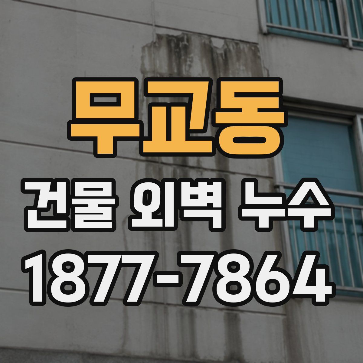 무교동 건물 외벽 누수