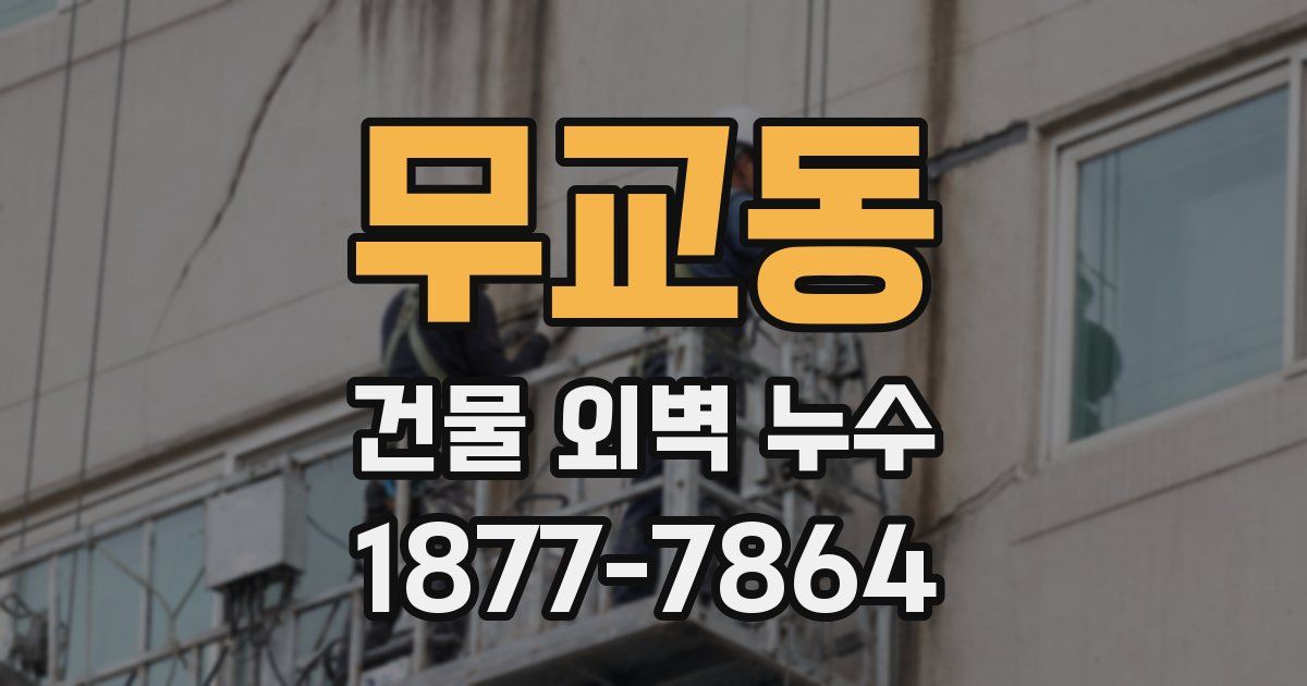 무교동 건물 외벽 누수