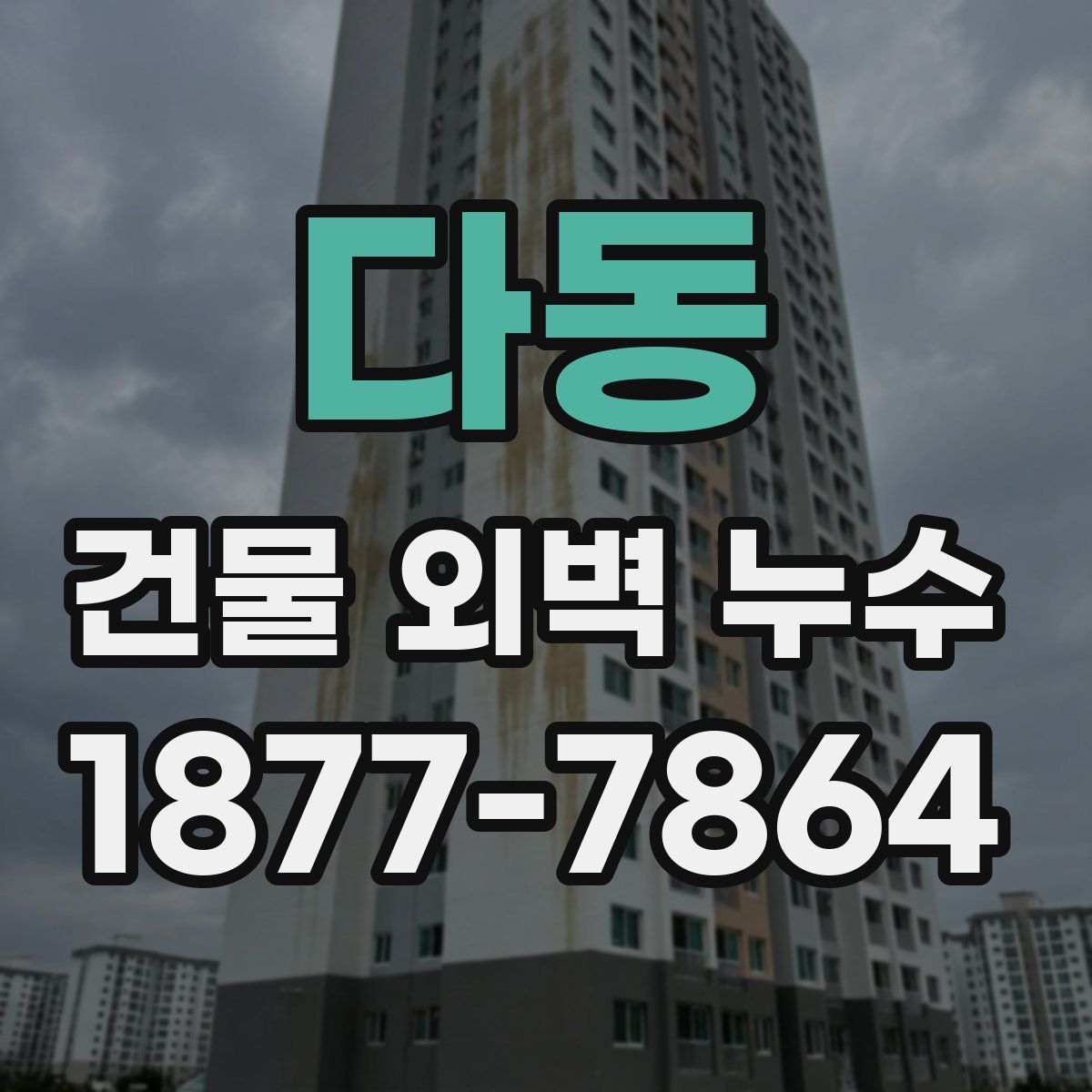 다동 건물 외벽 누수