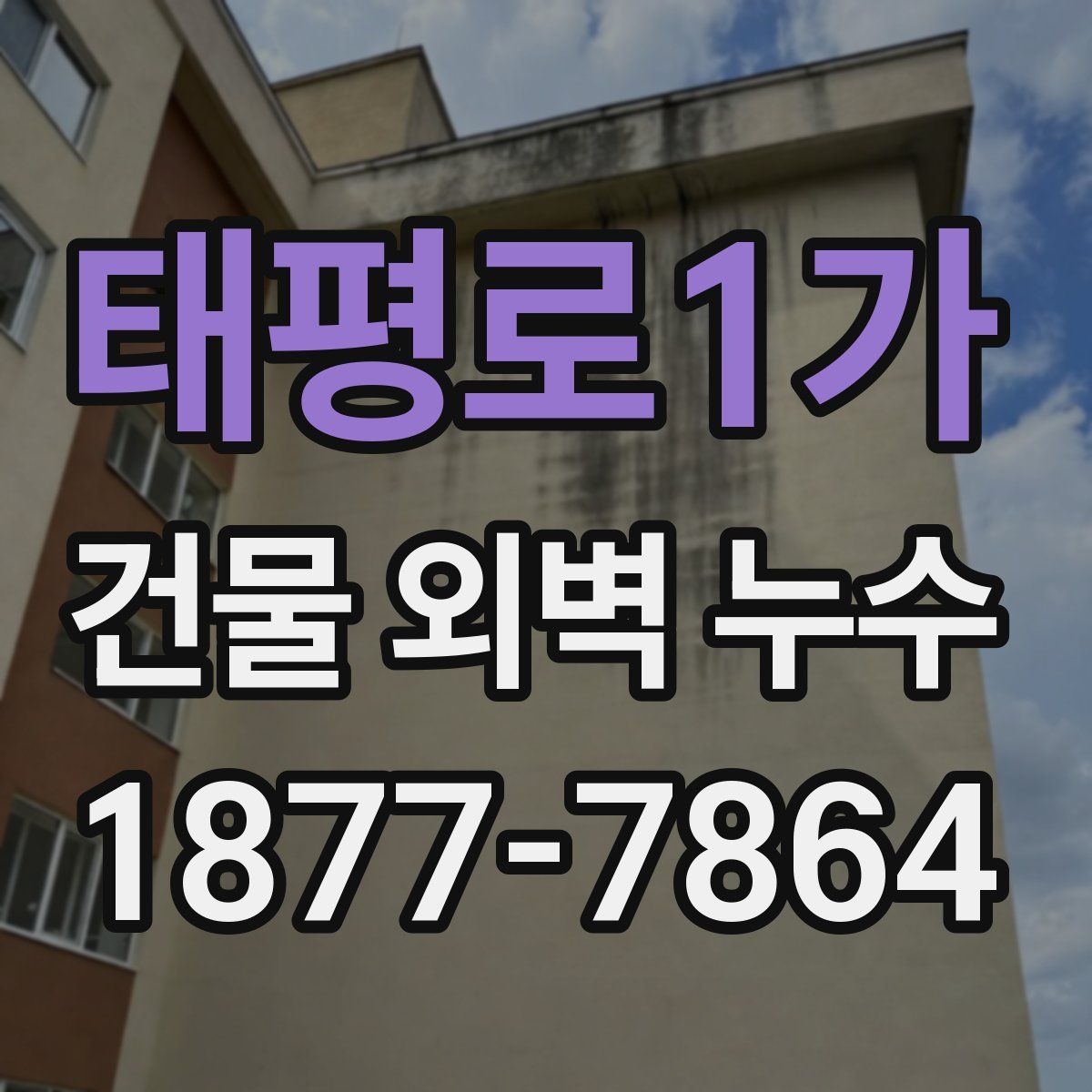 태평로1가 건물 외벽 누수