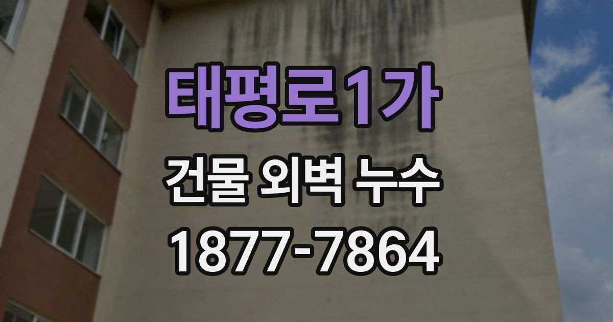 태평로1가 건물 외벽 누수