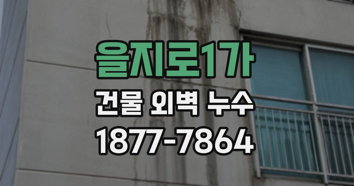 을지로1가 건물 외벽 누수