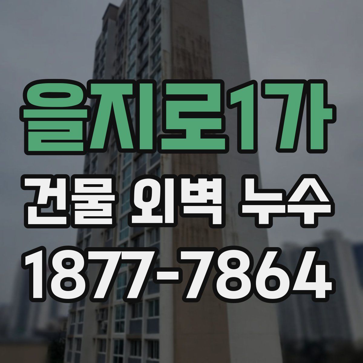 을지로1가 건물 외벽 누수
