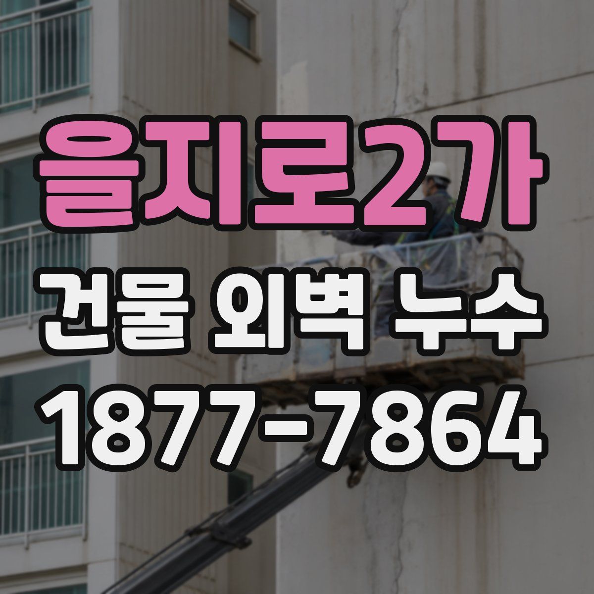 을지로2가 건물 외벽 누수