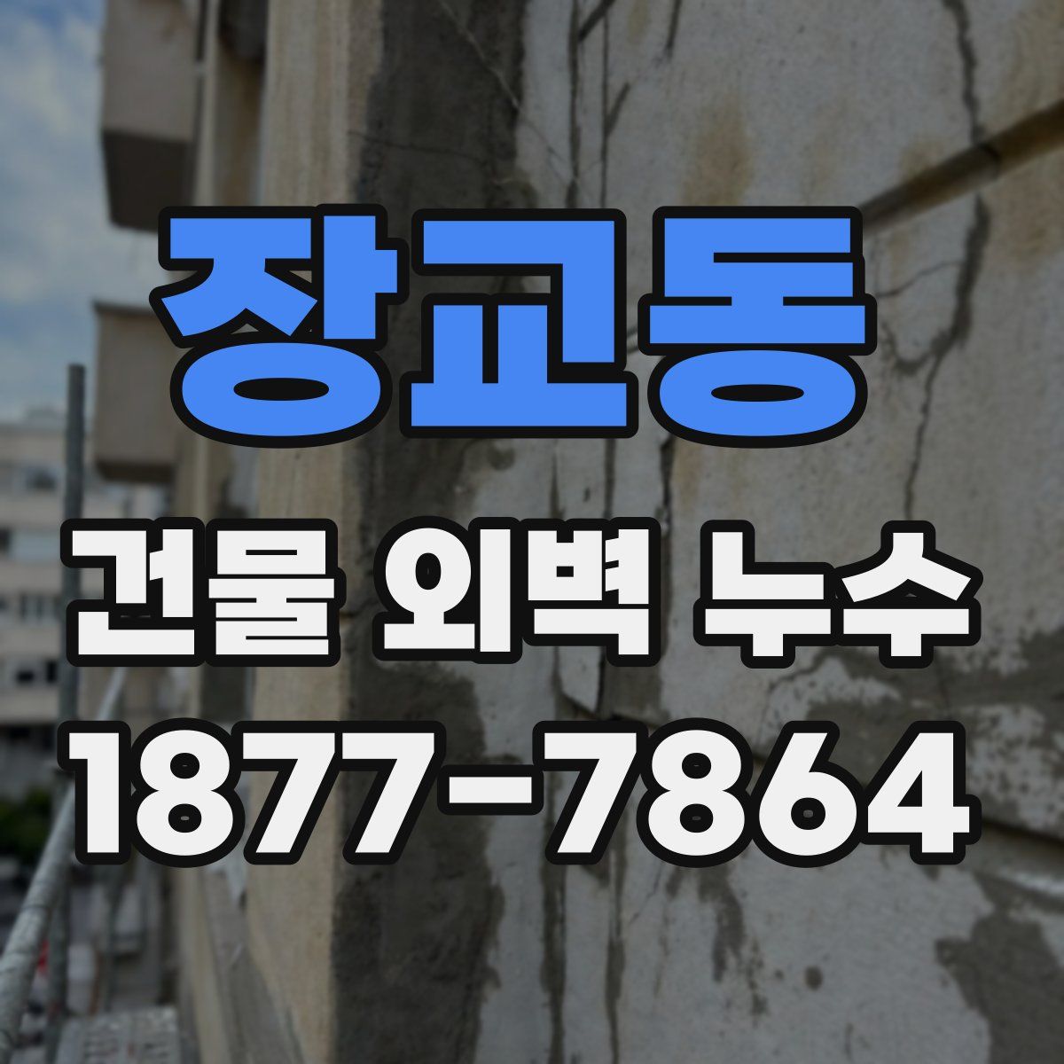 장교동 건물 외벽 누수