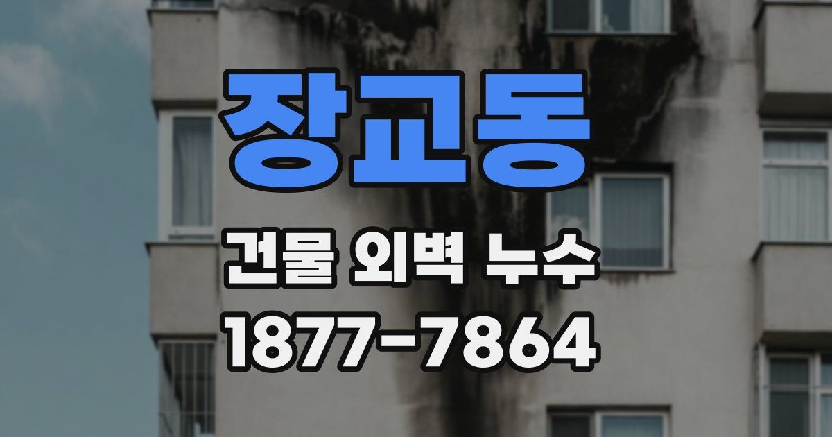 장교동 건물 외벽 누수