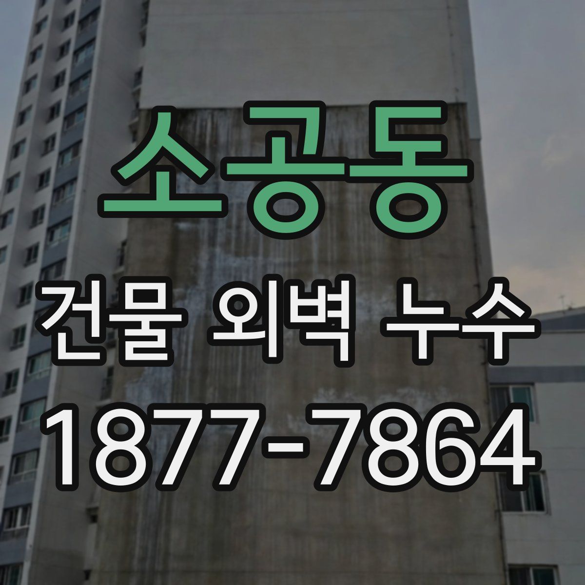 소공동 건물 외벽 누수