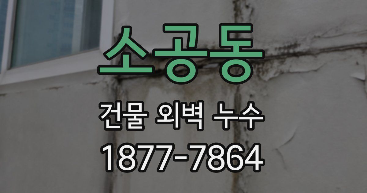 소공동 건물 외벽 누수
