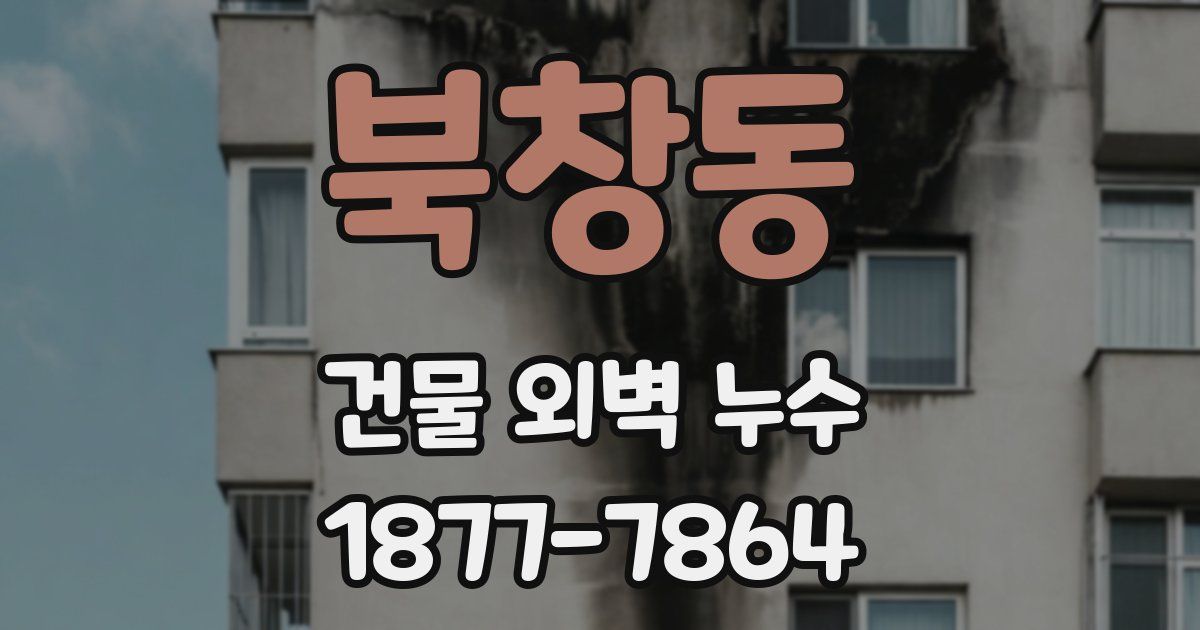북창동 건물 외벽 누수