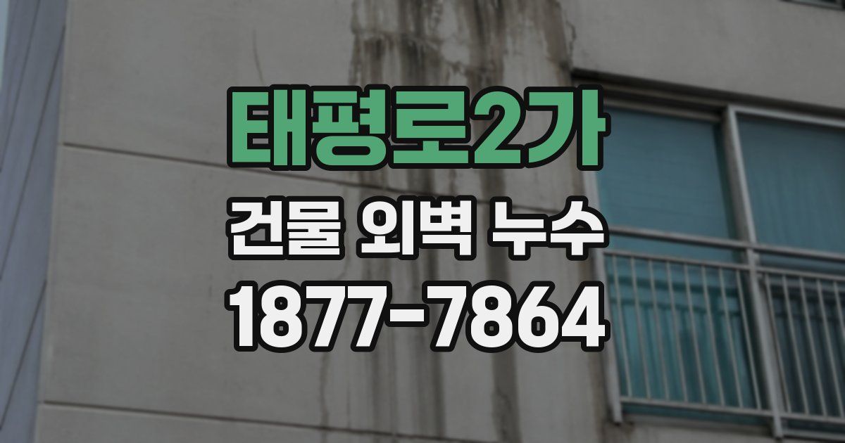 태평로2가 건물 외벽 누수