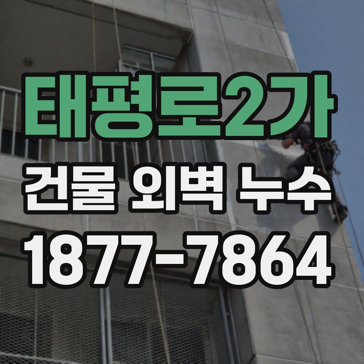 태평로2가 건물 외벽 누수