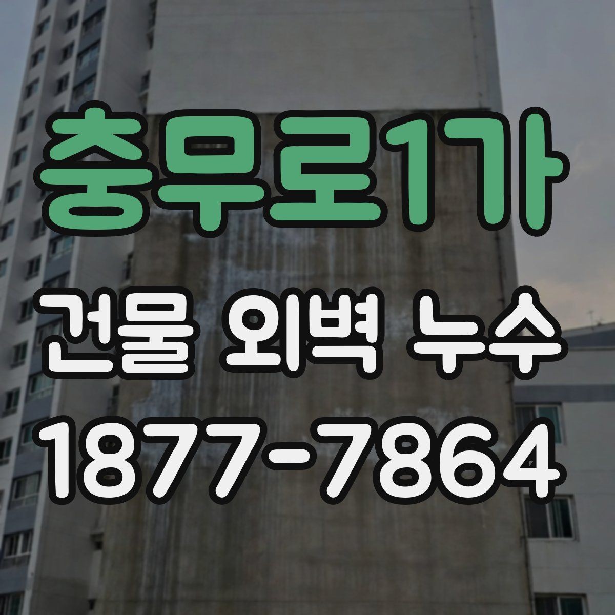 충무로1가 건물 외벽 누수 보수 후 재점검이 필요한 이유